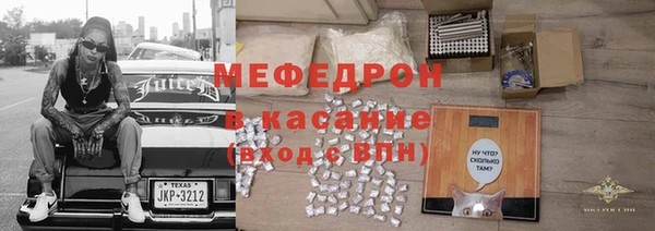 сатива Беломорск