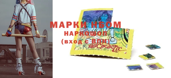 сатива Беломорск