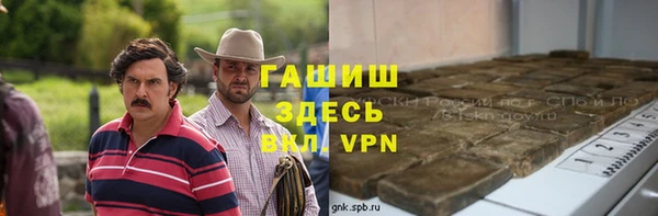 сатива Беломорск