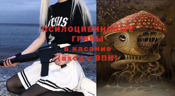apvp Богданович