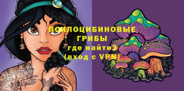 героин Богородицк