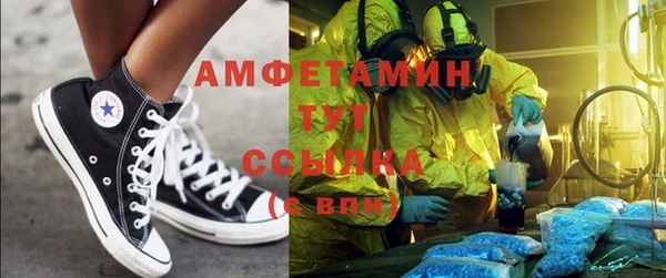 сатива Беломорск