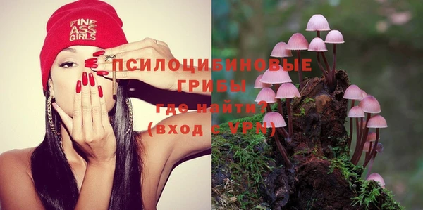 молекула духа Белоозёрский